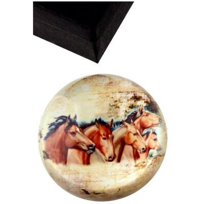 PISAPAPELES CRISTAL MOD. CABALLOS