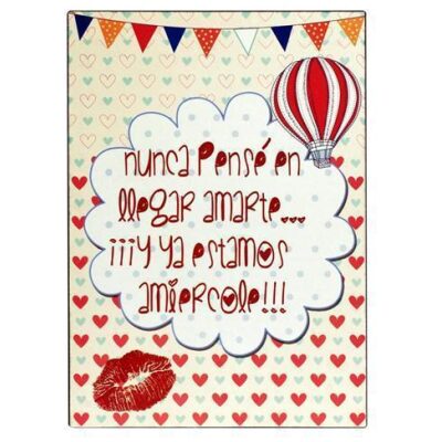 PLACA METAL  33X25 "NUNCA PENSE ....