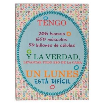 PLACA METAL 33X25 "TENGO 206....