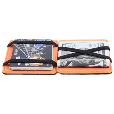CARTERA MAGICA - Imagen 2