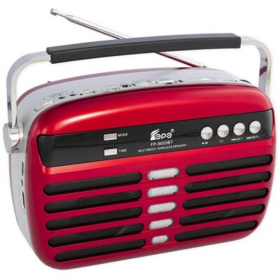 RADIO  EPE COLOR  GRIS MULTIMEDIA