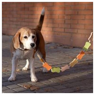 CORREA PERROS MOD. BISCUIT MULTICOLOR - Imagen 2