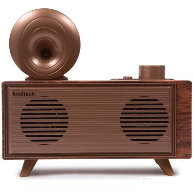 ALTAVOZ VINTAGE KOOLTECH SP M80