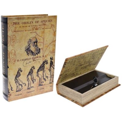 HUCHA CAJA FUERTE ORIGEN DE LAS ESPECIES