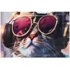CUADRO 50X50 GATITO CON GAFAS 2 MOD   1 UNID