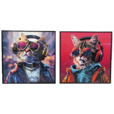 CUADRO 50X50 GATITO CON GAFAS 2 MOD   1 UNID 