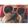 CUADRO 50X50 PERRITO GAFAS 2 MOD   1 UNID