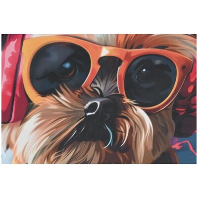 CUADRO 50X50 PERRITO GAFAS 2 MOD   1 UNID