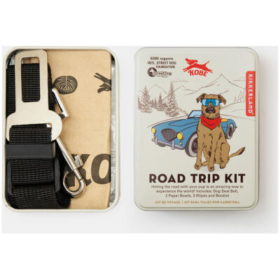 KIT SEGURIDAD PERROS PARA COCHE