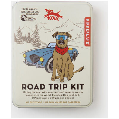 KIT SEGURIDAD PERROS PARA COCHE