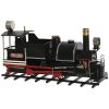 METAL LOCOMOYTORAS 35 CM  NEGRA