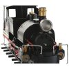 METAL LOCOMOYTORAS 35 CM  NEGRA