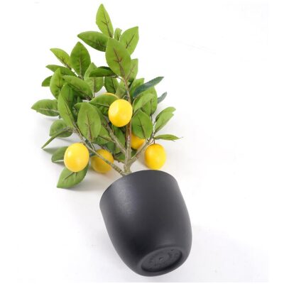 MACETA ARBOL LIMONERO
