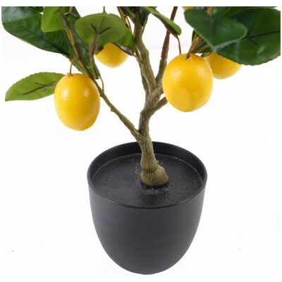 MACETA ARBOL LIMONERO