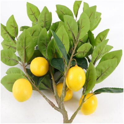 MACETA ARBOL LIMONERO