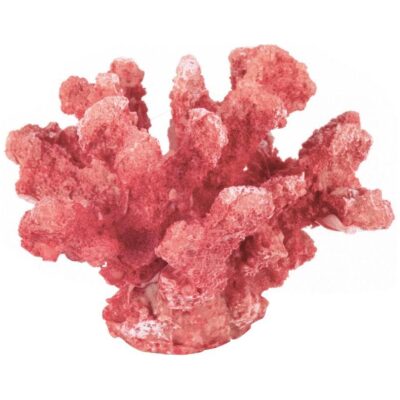 CORAL ROJO 13X20