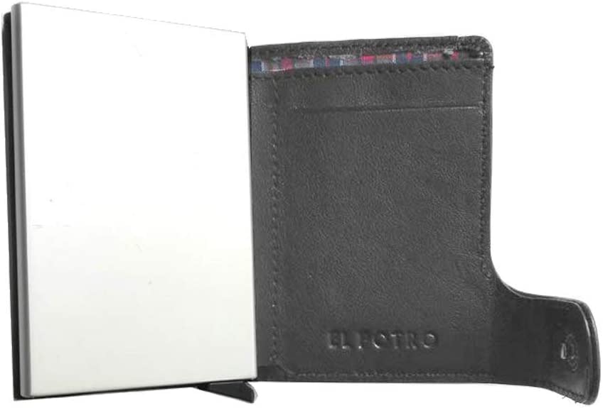 TARJETERO SEGUIRIDAD PIEL POTRO COL SURTIDOS