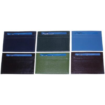 TARJETERO PIEL BASICO COL SURTIDOS